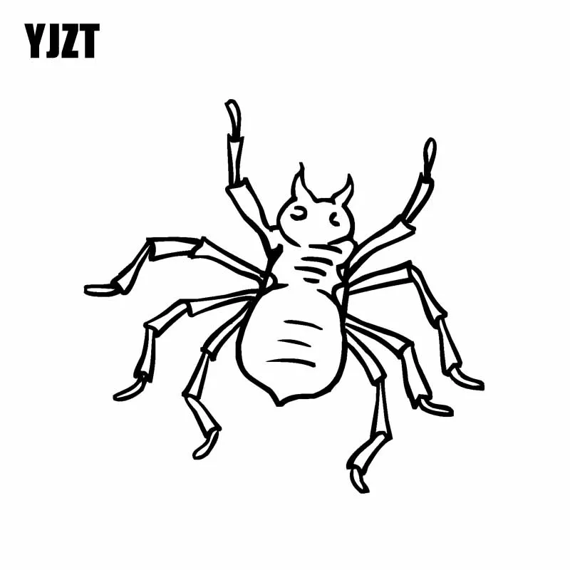 Паук для раскрашивания. Паук тарантул раскраска. Паук раскраска. Паук раскраска для детей 3 4 лет. Паучок раскраска для детей 4-5 лет.