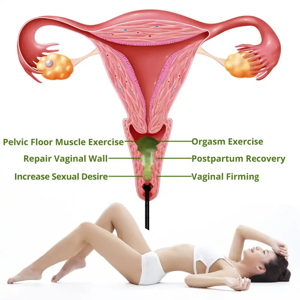 Drop Shipping Jade Yoni Egg Set Kegel Jade Eggs Tightening Vaginal 100 Jade Egg Body Yoni Massage Kegel Muscle Exerciser