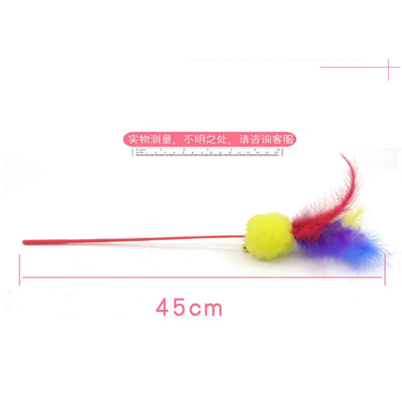 30655 (4)
