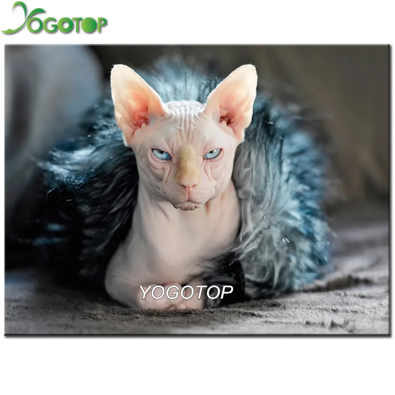 Набор для алмазной живописи YOGOTOP DIY 5D картина с вышивкой в виде кошки стразы