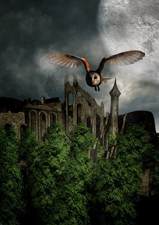 owl-1747632_960_720