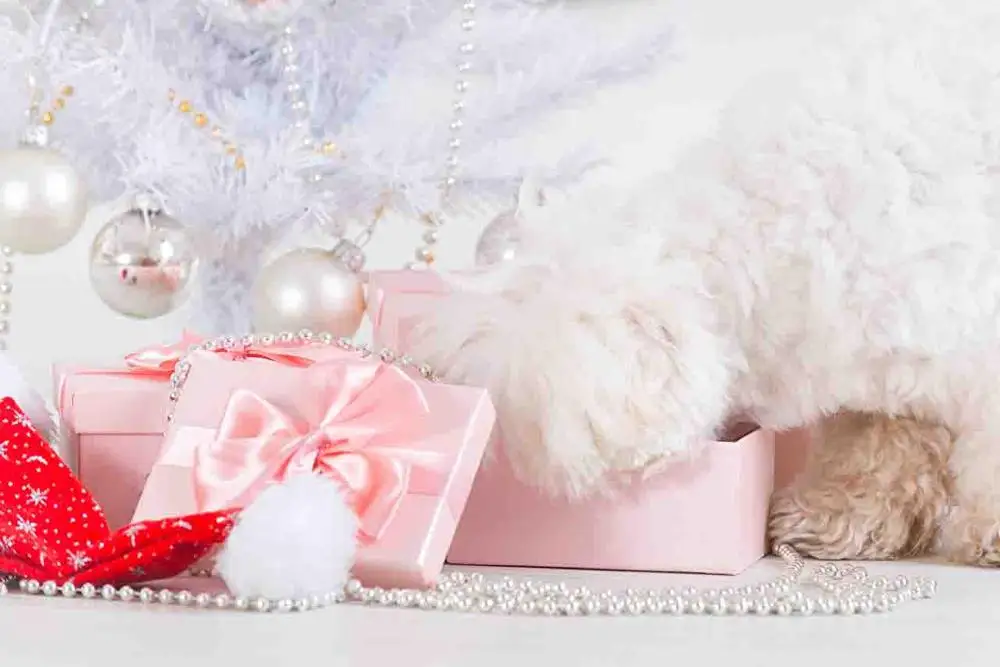 

SHENGYONGBAO Art Cloth Custom Photography Backdrops Prop Christmas ball Christ day Photo Studio Background S19714-15