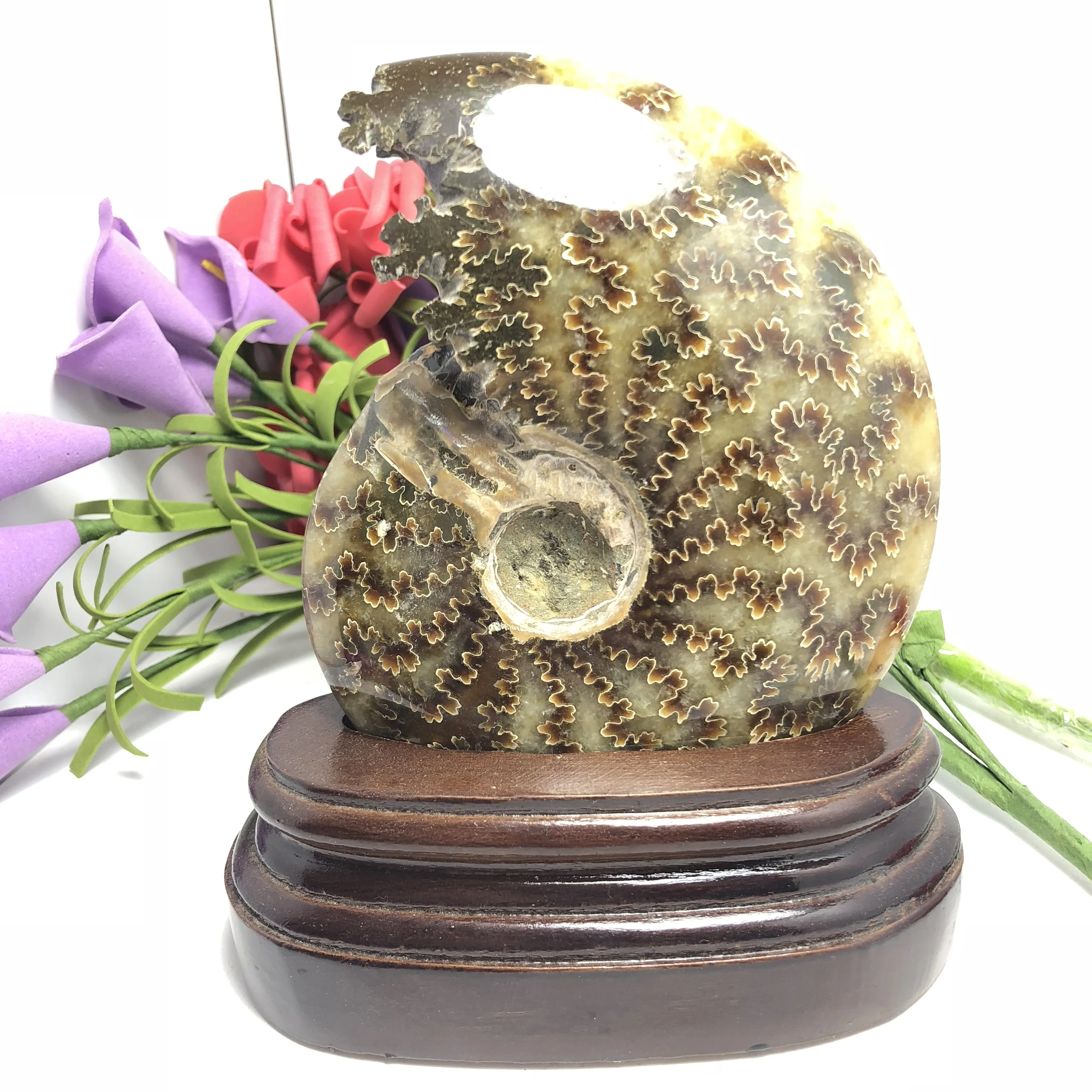 

490 grams of snail ammonite fossils mineral carving ~ beautiful colour