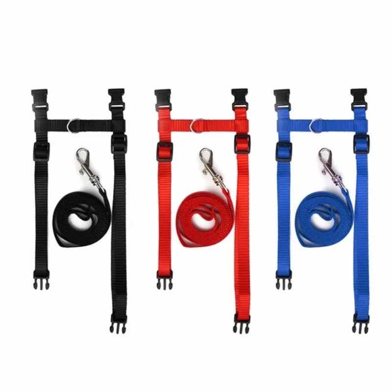 cat leash