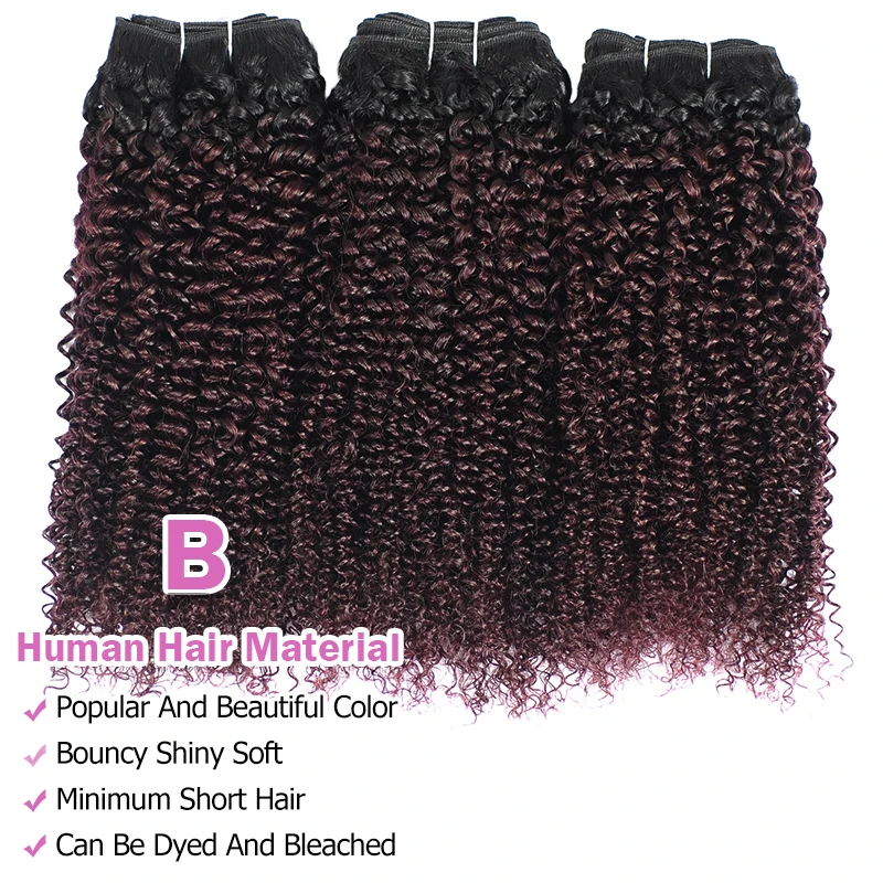 Grape Purple Peruvian Hair 3 Bundles With Closure Ombre Burgundy Human Hair Kinky Curly Bundles With Closure Non Remy Pinshair Grape Purple Peruvian Hair 3 Bundles With Closure Ombre Burgundy Human Hair Kinky Curly Bundles With Closure Non Remy Pinshair