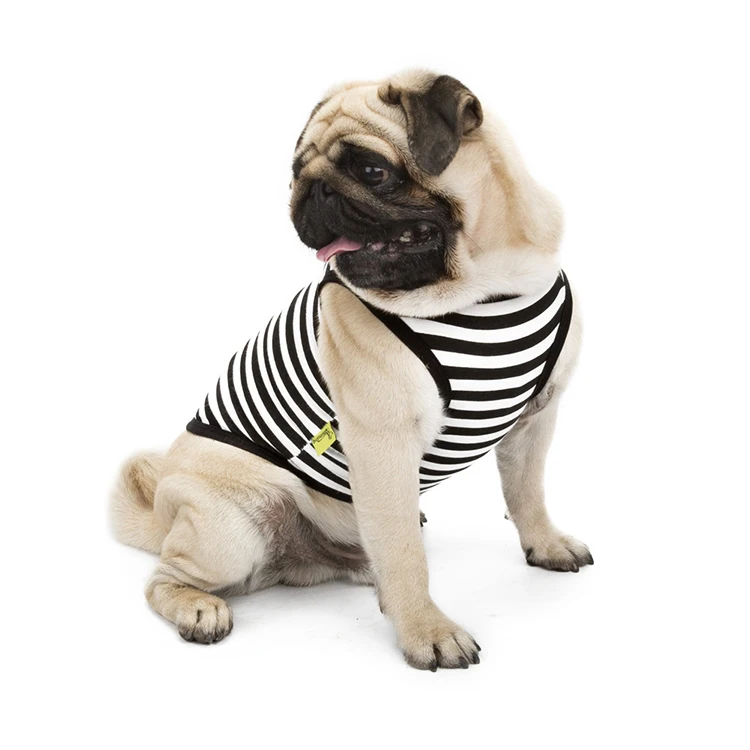 Bigeyedog собачья жилетка футболка Щенок Чихуахуа полосатая жилетка летняя одежда для собак Йоркширский Кот одежда для французских бульдогов костюм для домашних животных