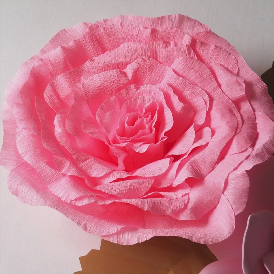 P6223859