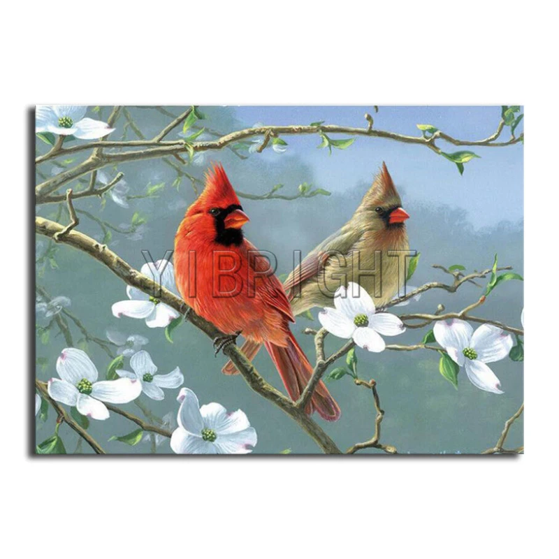 

Full Square Diamond painting flower birds Full Round Diamond embroidery Cross stitch Cardinals DIY 3D Diamond mosaic animal