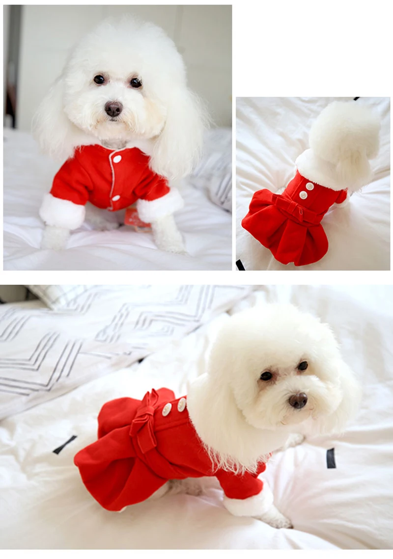 winter clothing dress (6)