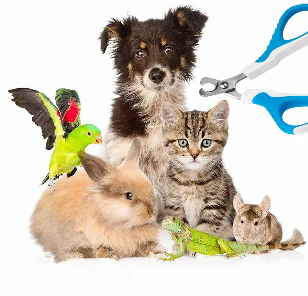 

Cat Nail Clippers Sharp Stainless Steel Professional Pet Nail Trimmers for Cat,Small Breed Dog, Rabbit and Small Animals