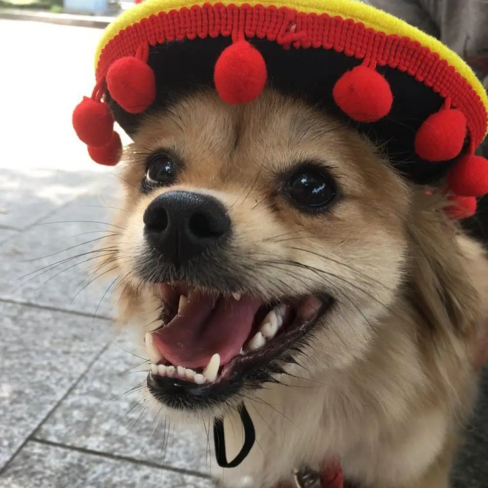 Noroomaknet Mexican Hats Breathable Puppy Dog Cat Hat Pet Adjustable Elastic Cap Festival Party Cap Pet Supplies Dropshipping