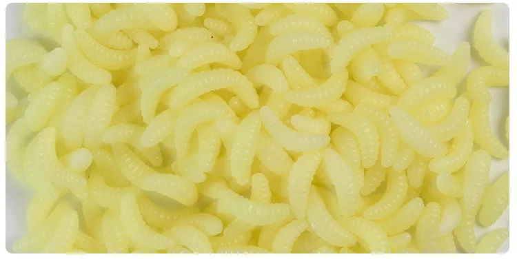 3922615259_1703151399