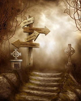 

VinylBDS Photography Background Fantasy Background Subtilis Backdrops Wood Indicator Kate Background Backdrop