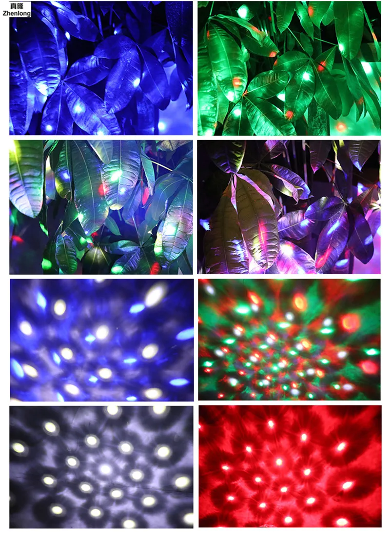 10216238056_2021443353