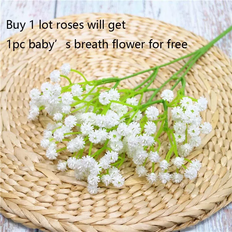 10749496771_1735480233