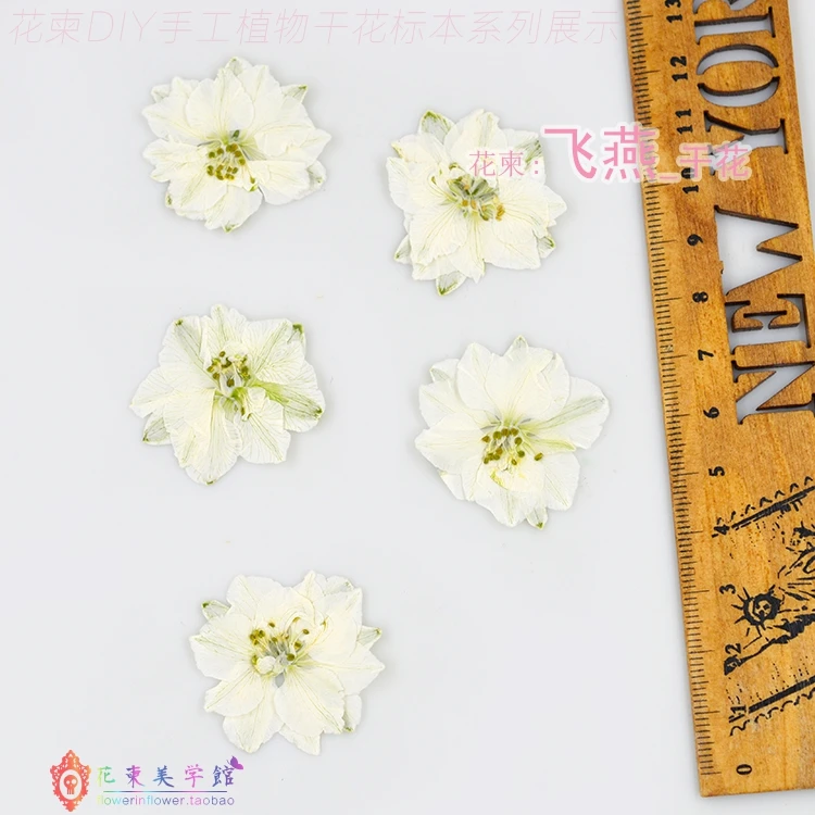 Цветок приглашение Feiyan цветы _ DIY прессованный высушенный цветы|flowers diy|flowers