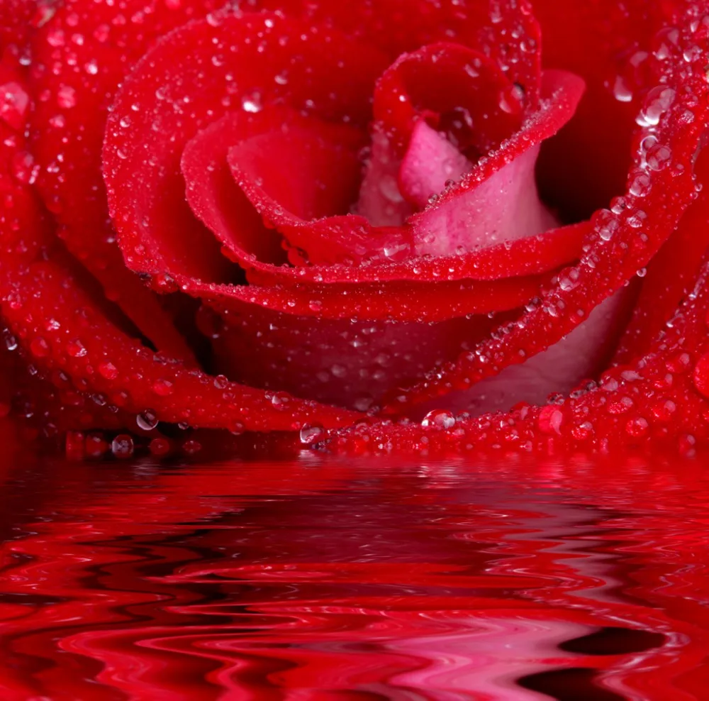 Роскошные Европейский современный Красная роза цветок Современный домашний декор моды Декор украшение для спальни