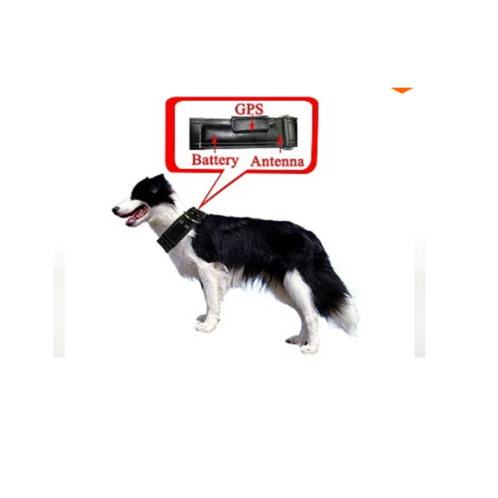 QQ20150627155436