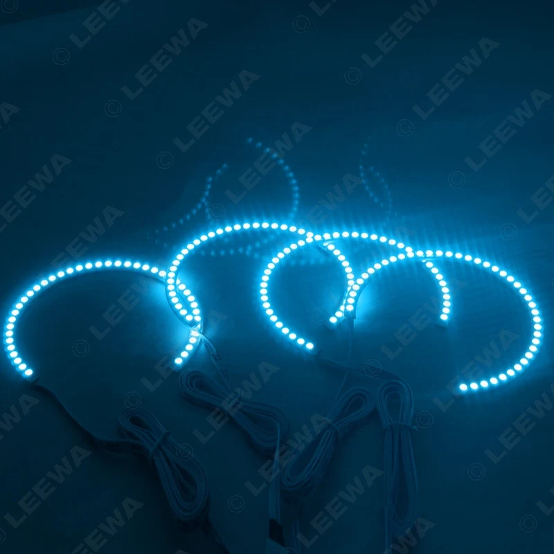 LW_D13