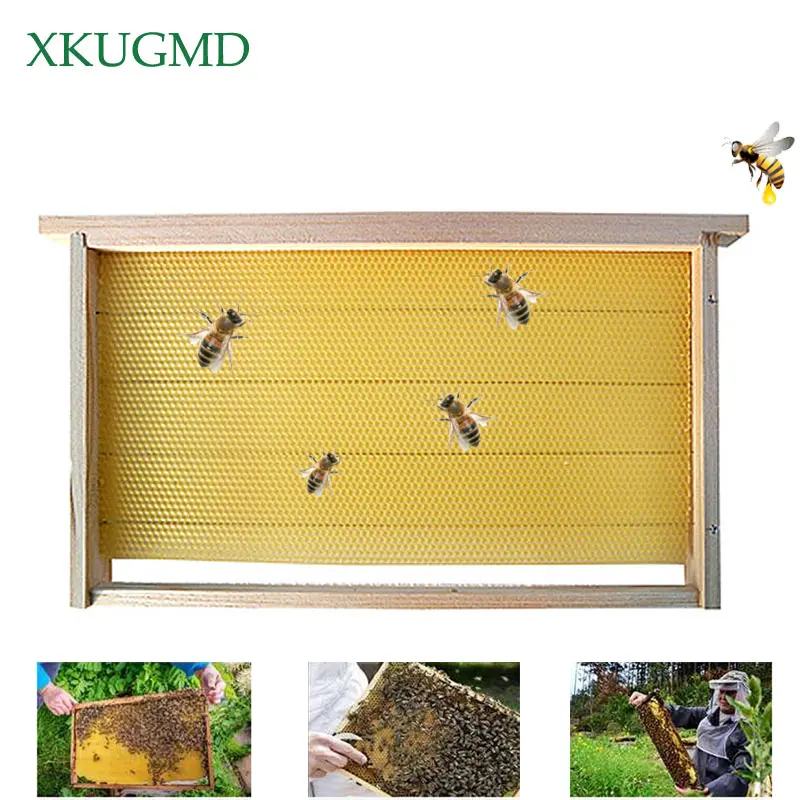 

5PCS Wooden Beehive Honey Flow Hive for Honey Bee Hive Honeycomb Beehive Colmena Flow Hive Frames Beekeeping Tools Kits