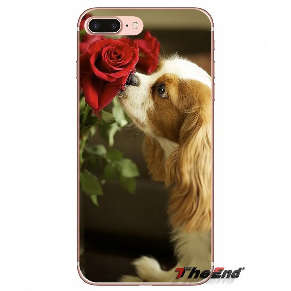 Чехол для Samsung Galaxy Note 3 4 5 Grand Core Prime S3 S4 S5 MINI S6 S7 edge S8 S9 Plus Cavalier King Charles Spaniel