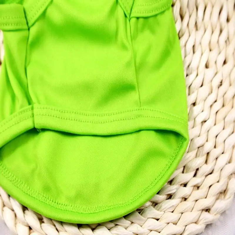 conew_3921605825_799069744