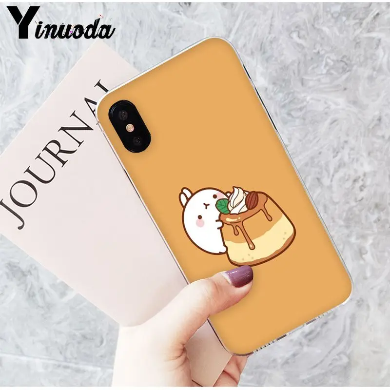 Funny and cute cartoon rabbit