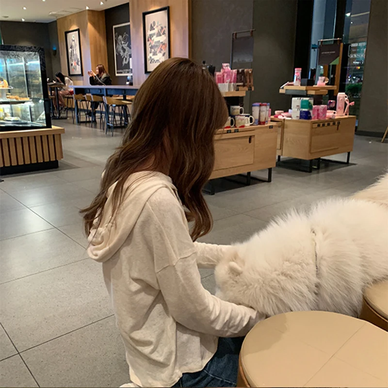 Women's hooded collar long sleeves Casual loose solid long sleeves cotton summer 2019 camiseta mujer New arrive fashion brand Women's hooded collar long sleeves Casual loose solid long sleeves cotton summer 2019 camiseta mujer New arrive fashion brand