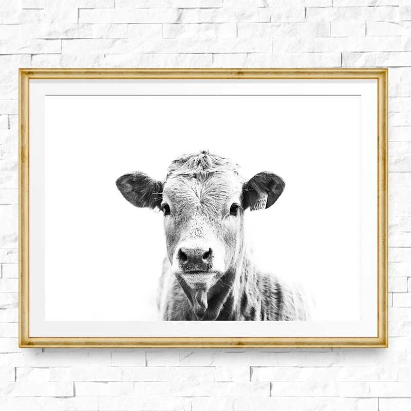 

Cow Poster Wall Art Steer Print Modern Animal Photography Canvas Painting Black White Pictute Southwest Country Farm House Decor
