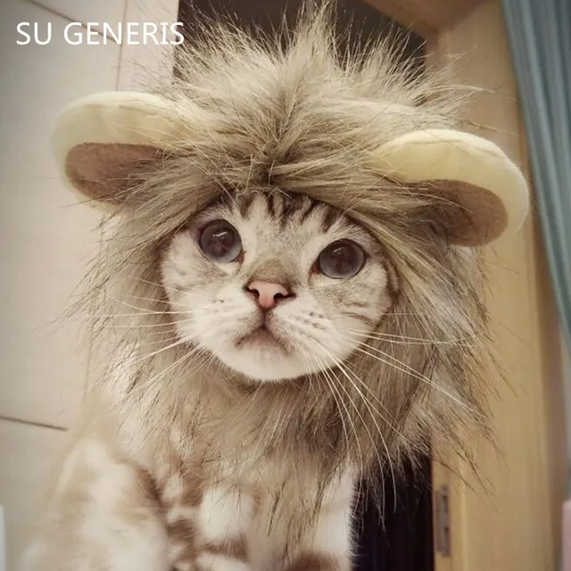 leeuwenkop kat leeuwenkop kat