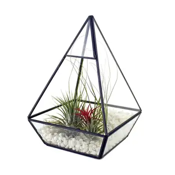 

Unique Black Retro Geometric Glass Flower Holder Succulent Micro Landscape Container Glass Flower Room Pure Copper Glass Craft