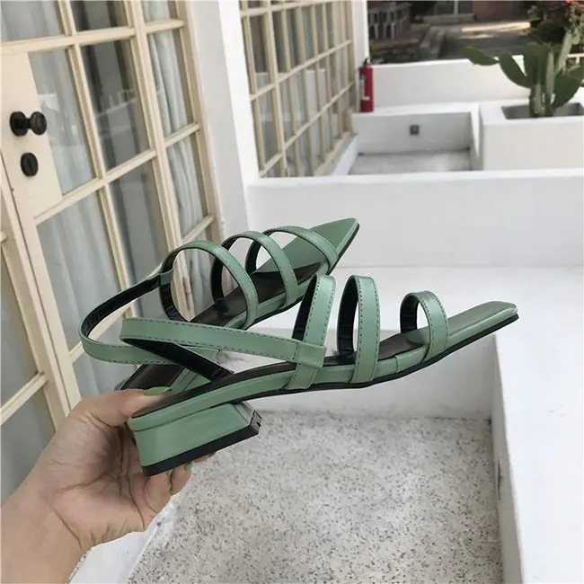 10772041281_365463394