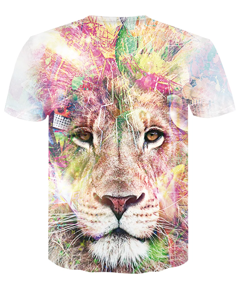DT009-T-