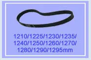 305 310 315 320 325 330 335