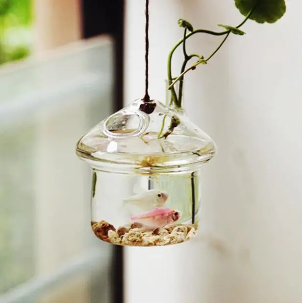 vases sale picture - more detailed picture about free shipping vases sale picture - more detailed picture about free shipping