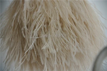 

Free Shipping 10 yards ivory taupe Ostrich Feather trimming fringe light taupe ostrich feather trim 5-6inch in width