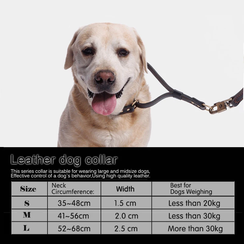 Durable Large Dog Training Collar Genuine Leather P Pinch Chian Choke for Big Dogs Collar Labrador Golden Retriever Pet Supplies (3)
