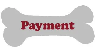Payment