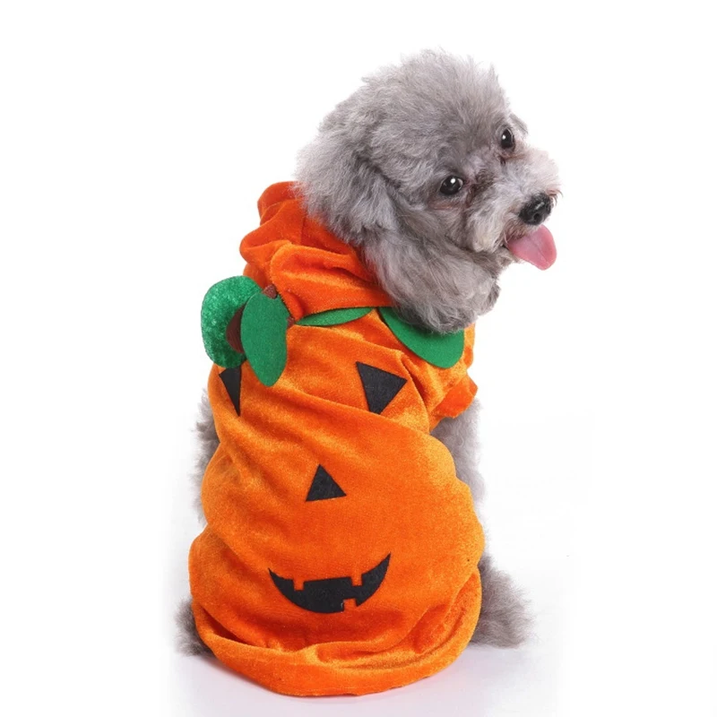 Костюм для собаки-паука, костюм на Хэллоуин, костюмы на Хэллоуин для кошек, одежда для собак, большие вечерние костюмы-пауки, одежда для кошек, котенок