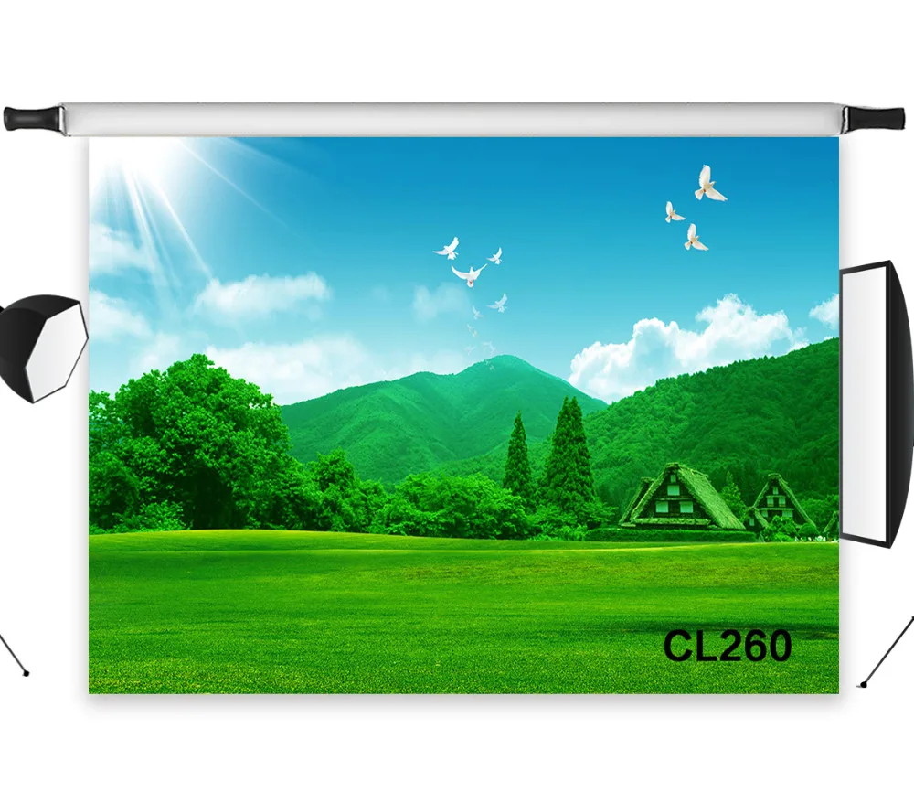 Green Mountain House Lawn Polyester Backdrop Background Photography Studio Props Photographic Photo Seamless Washable No Crease |