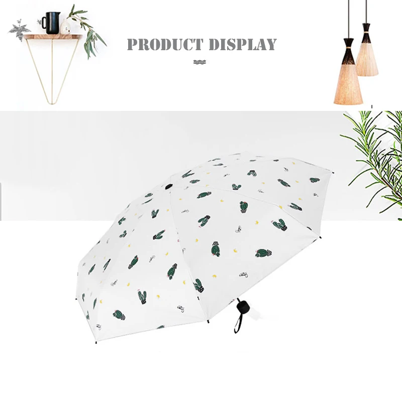 Transparent Umbrella (8)