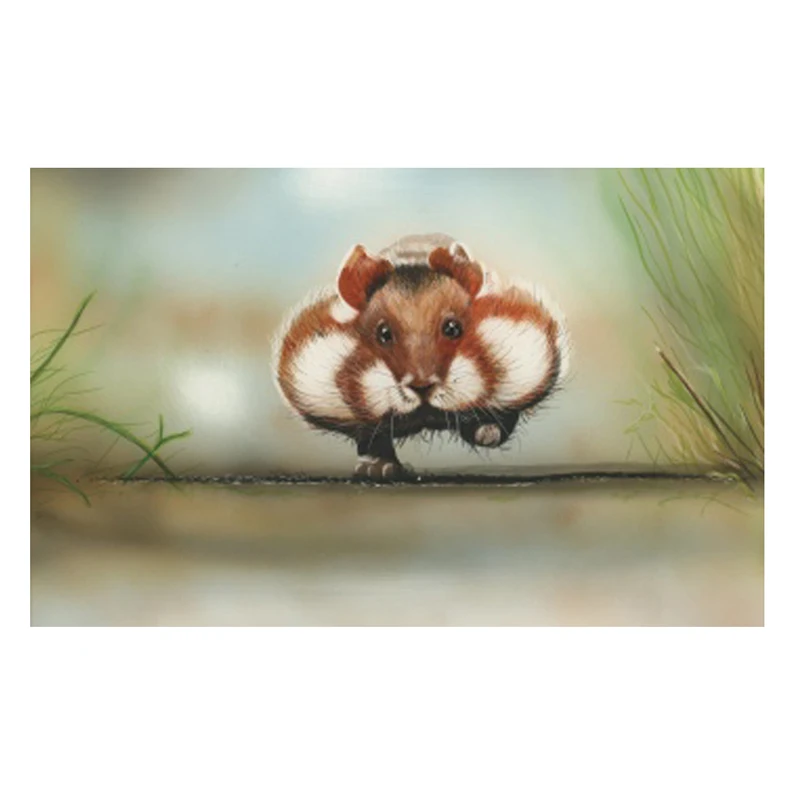 Diamond Painting Cross Stitch Kits Animal Diy 3d Embroidery hamster Square Mosaic Rhinestone Pasted Full Canvas | Дом и сад