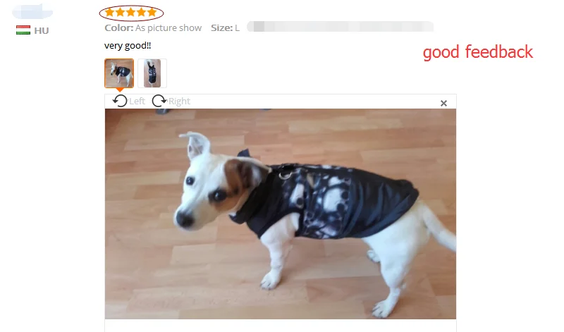 dogs pets clothing