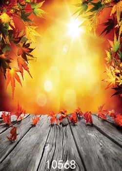 

Wood Flooring Free shipping Vinyl Photography sunshine and leaves printedBackground Backdrops backgrounds for photo studio Floor