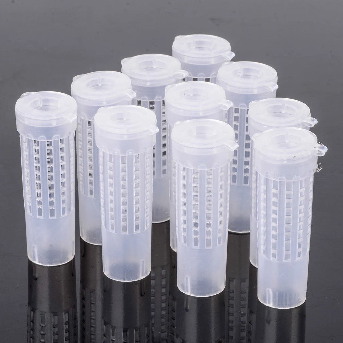 10pcs Bee Queen Bee Roller Cages + Cell Cup Holder & Fixtures Rearing Beekeeping Kit Set