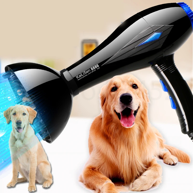 p02 High power pet dryer mute dog hair dryer golden Teddy special