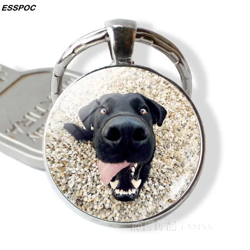 Прекрасный брелок для ключей милая собака фото стеклянный купол кулон серебряный металлический брелок для любителей собак подарки для мужчин и женщин Модные Ювелирные изделия Подарки - Цвет: AS SHOW