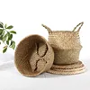Garden Supplies