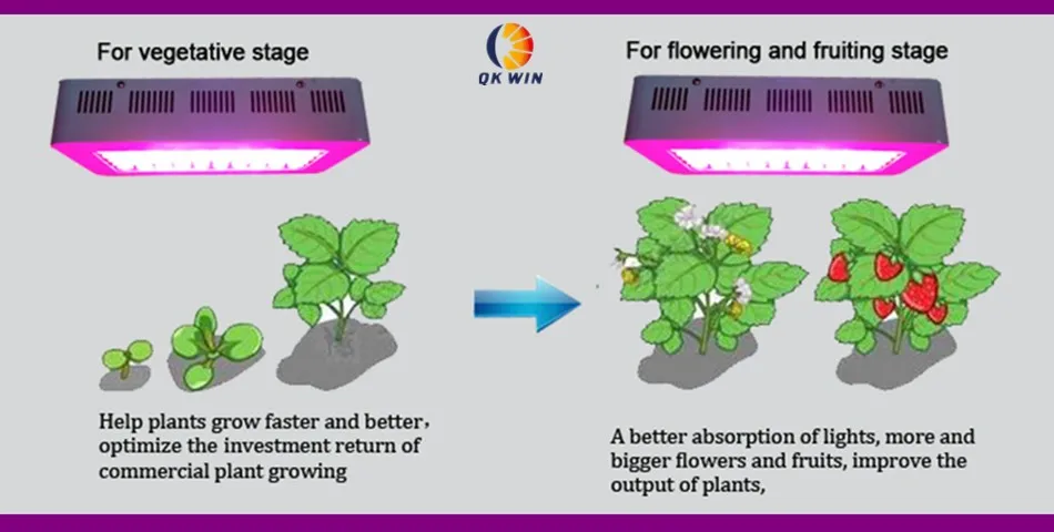 QkwinLED Grow Light from aliexpess