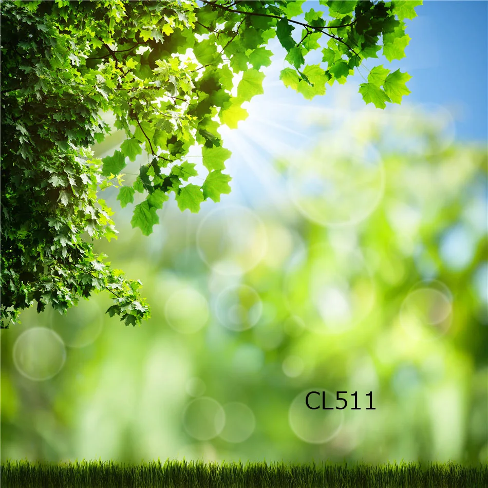 CL511